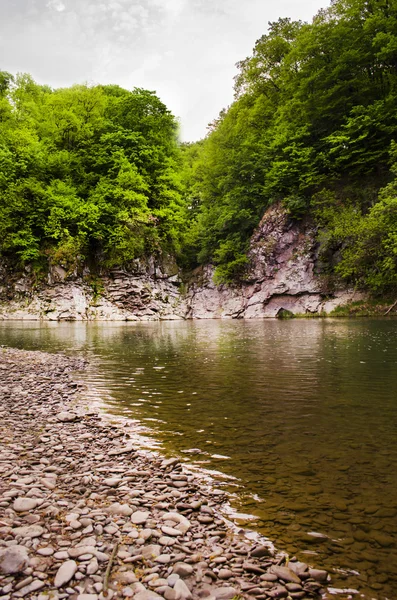 Trevlig floden — Stockfoto