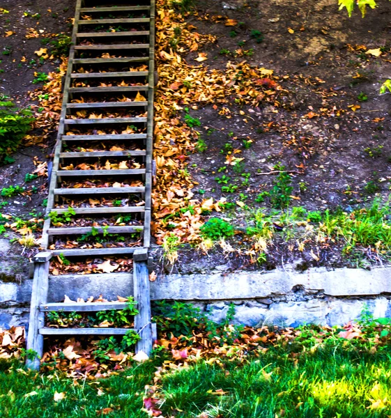 Escaliers en bois . — Photo