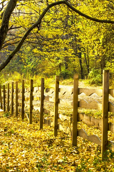 Wooden fence. — Stock Photo, Image