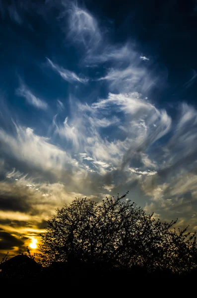 Paisaje con puesta de sol . — Foto de Stock