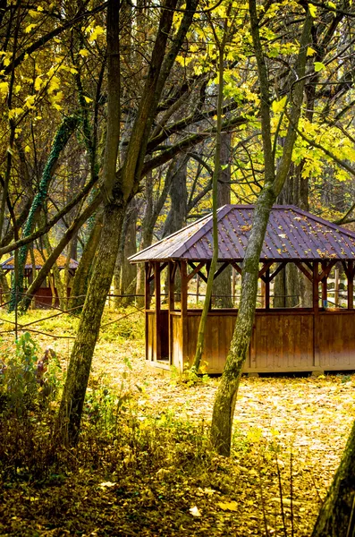 Wooden cabin in the woods. — Stock Photo, Image