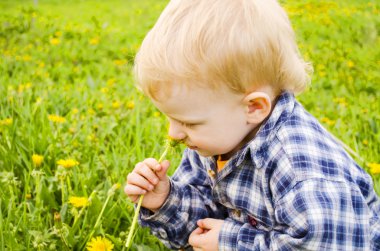 küçük çocuk Kareli gömlekli.