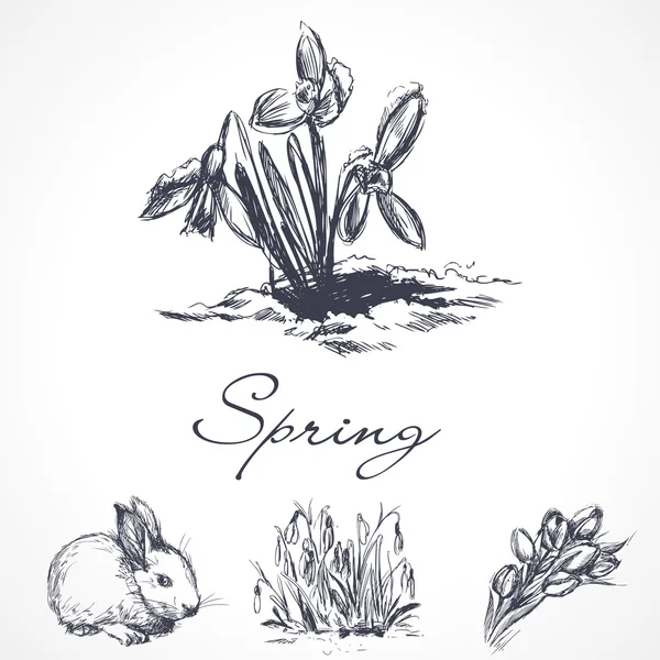春天的设计元素 — 图库矢量图片