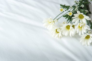 White Flower Background, isolated, Sympathy Card, White Floral Wedding Background, Flower Macro Closeup