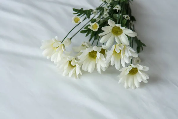 White Flower Background, isolated, Sympathy Card, White Floral Wedding Background, Flower Macro Closeup