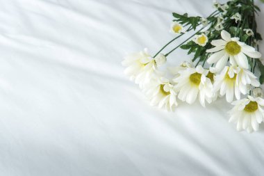 White Flower Background, isolated, Sympathy Card, White Floral Wedding Background, Flower Macro Closeup