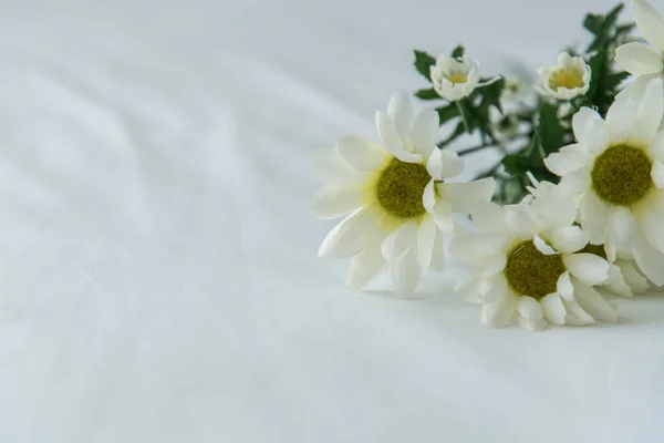 White Flower Background, isolated, Sympathy Card, White Floral Wedding Background, Flower Macro Closeup