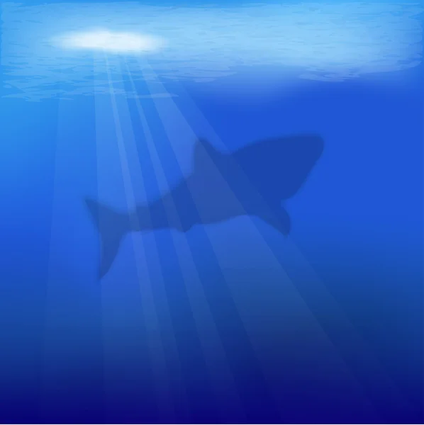 Silhouette di squalo — Vettoriale Stock