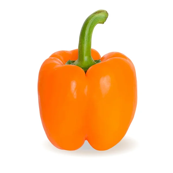 Realistic vector illustration of orange pepper or paprika — Stock Vector