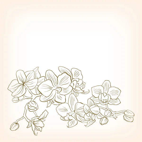 Illustration vectorielle florale abstraite pour le design . — Image vectorielle