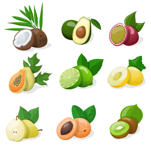 Set of exotic fruit. Vector illustration — Stock Vector