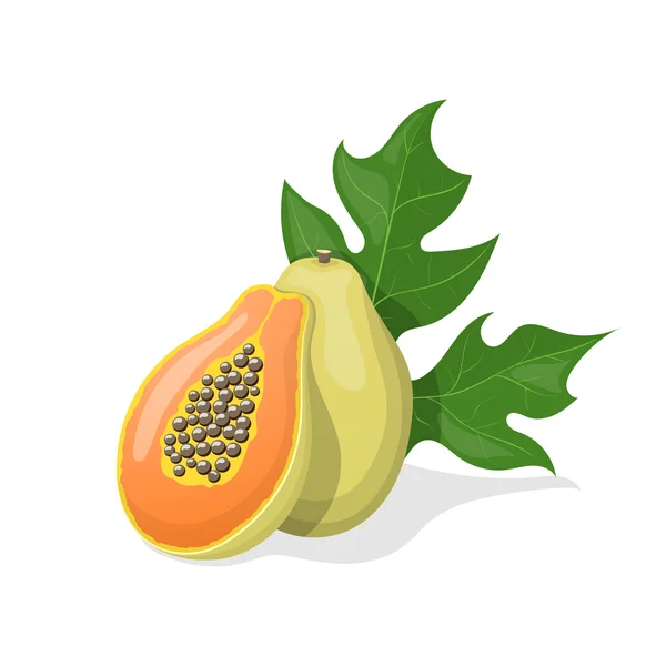 Papaya su sfondo bianco. Illustrazione vettoriale — Vettoriale Stock