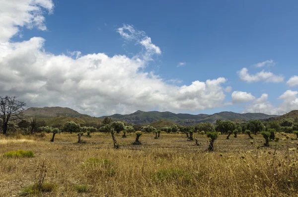 Schöne Berg- und Talaussichten in Rhodos Griechenland — Stockfoto