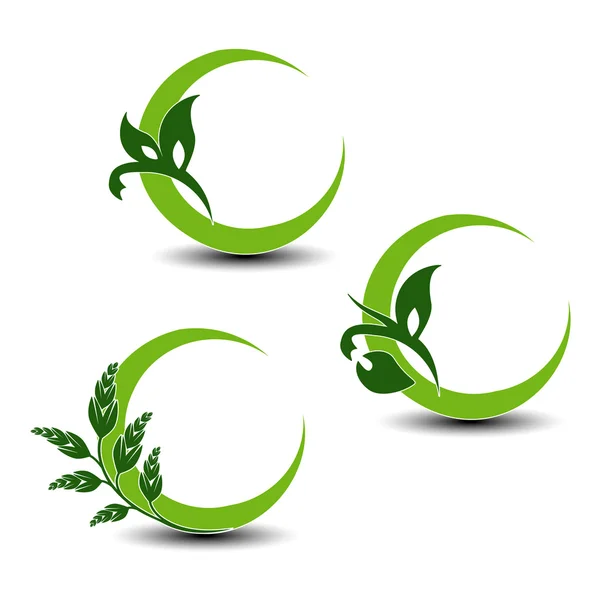 Vektor natürliche Symbole mit Pflanze — Stockvektor