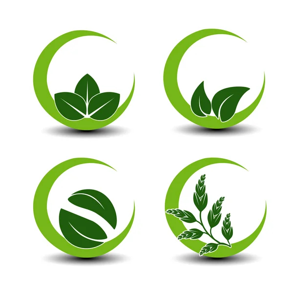 Vector natural symbols with leaf — Stock Vector