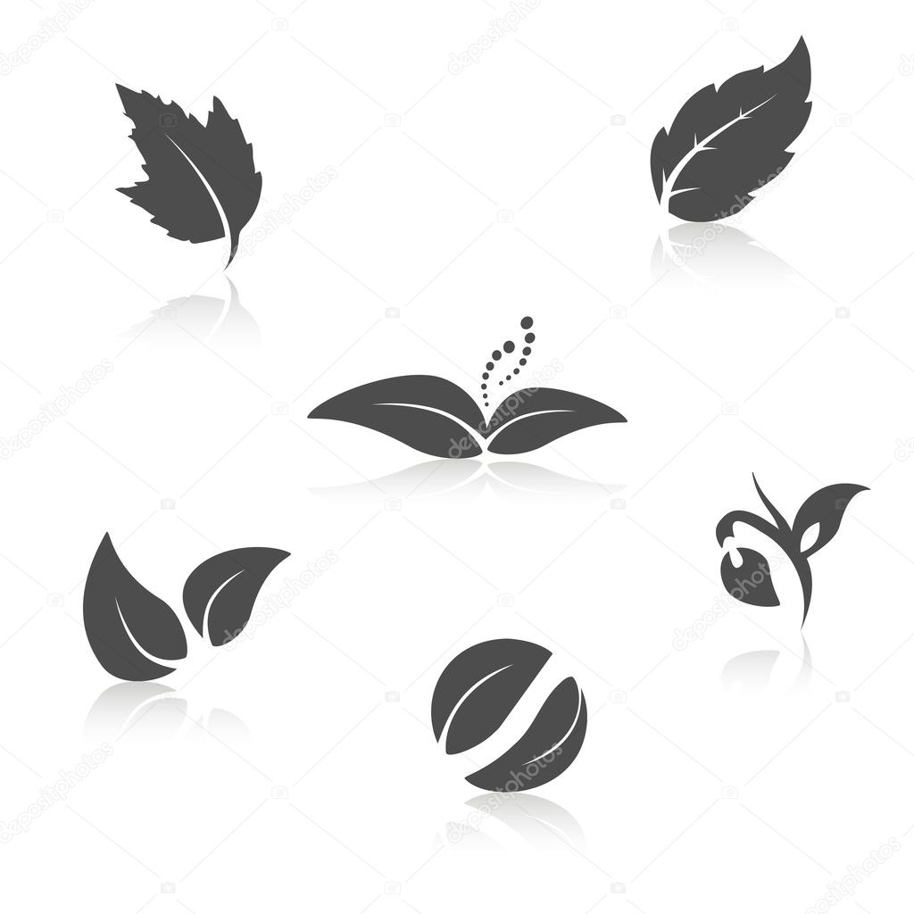 Vector nature symbols - leaf icon, silhouette with shadow
