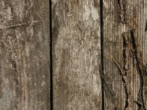 Textura de madera vieja — Foto de Stock