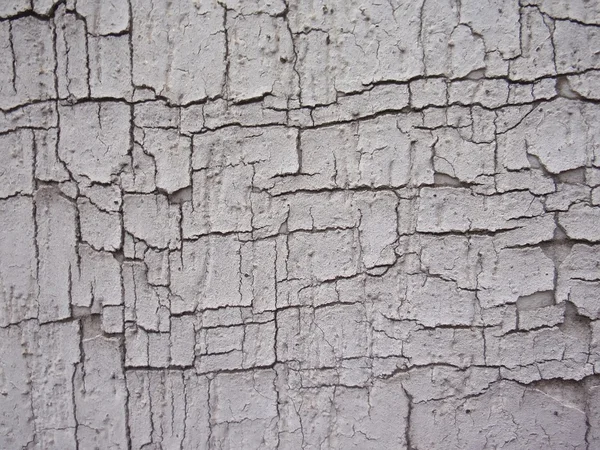 Textura de pared agrietada blanca —  Fotos de Stock