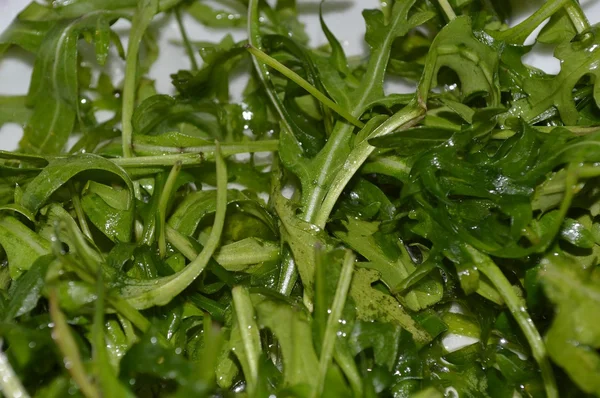 Färska gröna rucola sallad — Stockfoto