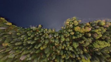 Karelia Cumhuriyeti 'nin güzel doğası. İHA 'dan göle kadar hava görüntüsü. Su renginde su. Rus coğrafyası. Ormanın muhteşem panoramik manzarası. Görüş ve Karelya gösteri yeri. 