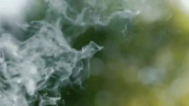Arka planda sigara dumanı bulanık arka planda. Yaz sezonu. Yaz aylarında duman yayılır. Bokeh yaz bahçesi. Duman yavaşça yukarı doğru yükselir. Video görüntüleri.