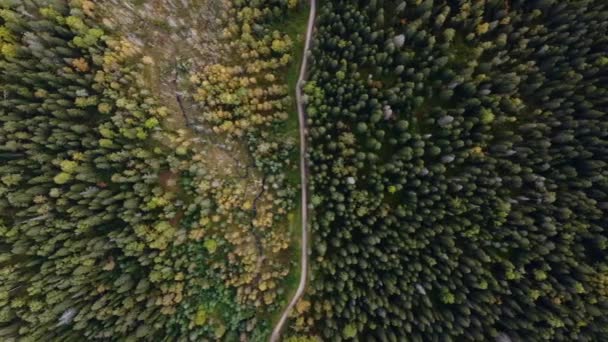 Belle nature de la République de Carélie. Vue aérienne du drone vers les arbres et la forêt. Géographique russe. Superbe vue panoramique sur la forêt. Spectacle de vue et de karélie. — Video