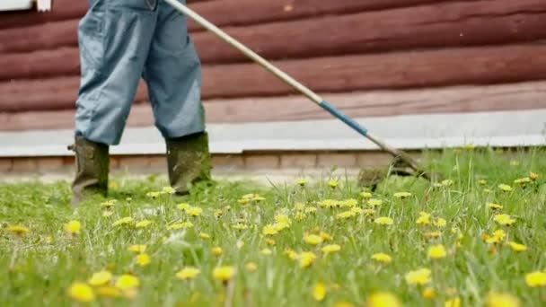 Gräs klippning närbild med en elektrisk trimmer. Klipp gräset på sommaren på landet. Städning av området. Skapa ordning på webbplatsen. Gräsmatta vård. Trimmer lie klipper gräs. Gräsklippare. — Stockvideo