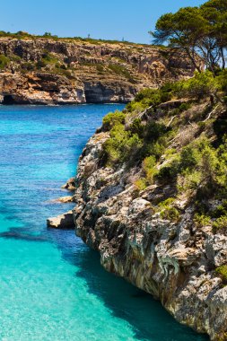 Akdeniz ve kayalık sahil İspanya'nın mallorca Adası