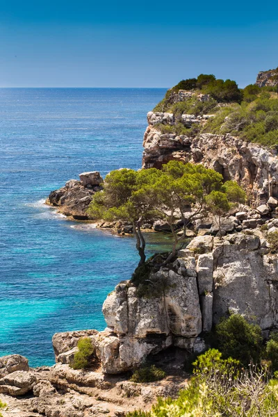 Cliffs of of Mallorca — Stock Photo, Image