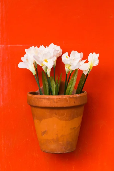 Kwiaty w garnku Obraz Stockowy