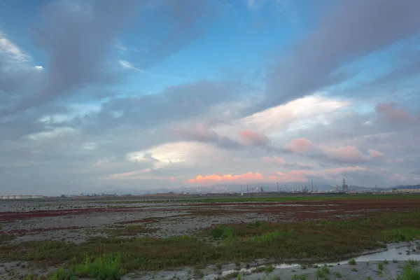 In the fields of energy plant — Stock Photo, Image