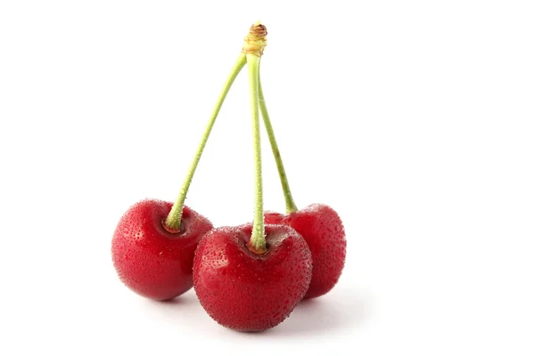 Sweet cherry fruits — Stock Photo, Image