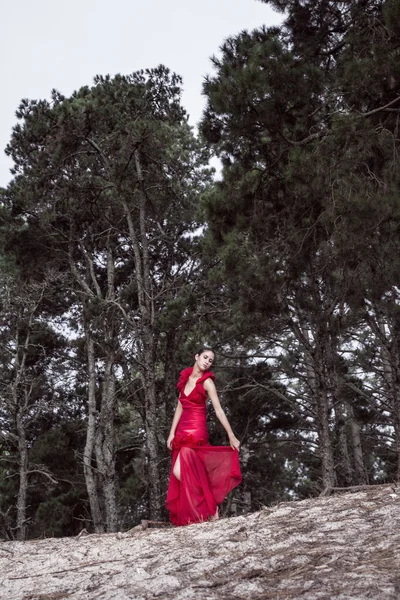 Muchacha joven atractiva en vestido rojo impresionante — Foto de Stock