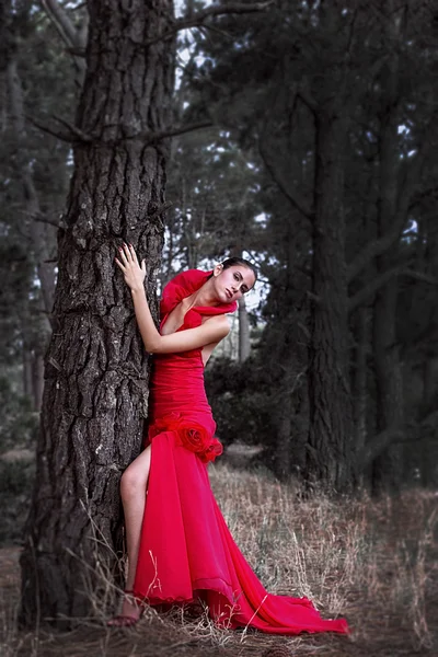 Modelo atraente em belo vestido vermelho ao lado da árvore velha — Fotografia de Stock