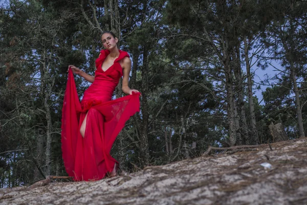 Attraktive Frauen im roten Kleid lizenzfreie Stockbilder