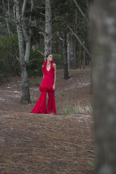 Моделі в червоний плаття поодинці в лісі — стокове фото
