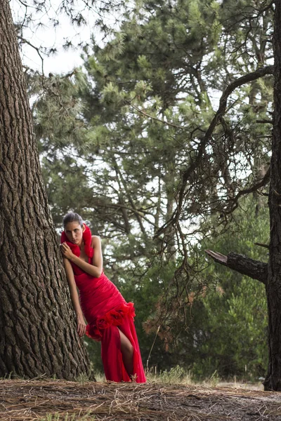 Mladý model v nádherné červené šaty — Stock fotografie