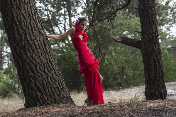 Attraktives junges Model im roten Kleid — Stockfoto