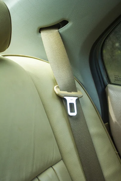 Seat Belt in Close Up inside New Car Jogdíjmentes Stock Fotók