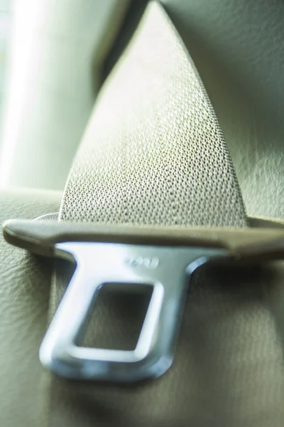 Safety Belt in Close up Stock Picture