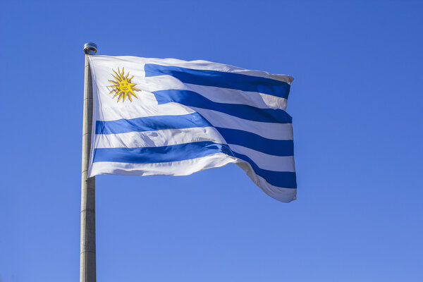 Flag of Uruguay waving in wind