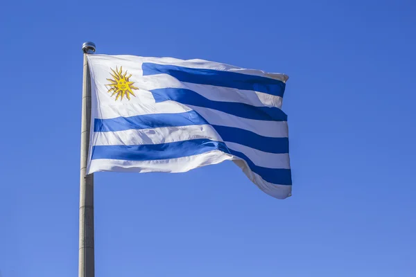 乌拉圭在风中挥舞的旗帜 图库图片