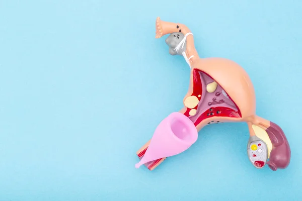 Batjocură Sistemului Reproducător Feminin Ceașcă Menstruală Roz Fundal Albastru Conceptul — Fotografie, imagine de stoc