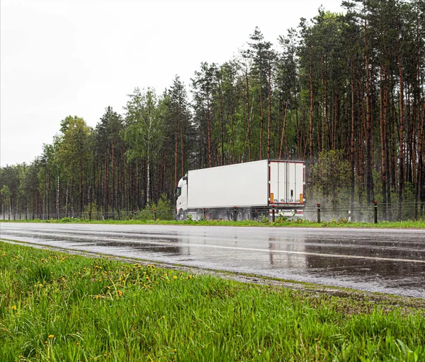 Biała ciężarówka z lodówką naczepy jeździ mokrą autostradą w deszczu na tle lasu. Koncepcja transportu towarów łatwo psujących się, przemysł — Zdjęcie stockowe