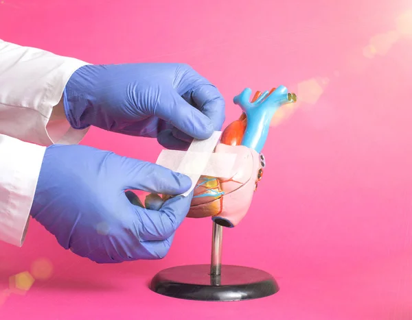 As mãos de doutores picam um bandaid médico em uma maquete de um coração humano em um contexto rosa. Conceito de tratamento do sistema cardiovascular humano, recuperação cardíaca após doença por coronavírus — Fotografia de Stock