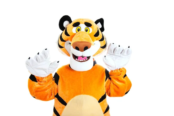 Man in a striped orange tiger costume posing on a white background, isolate. Holiday animator, celebratory