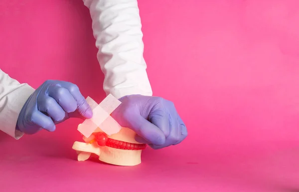 The doctor's hands are gluing a medical plaster on the released nucleus pulposus, intervertebral hernia, pink background. Spondylolisthesis and spondoarthrosis treatment concept, copy space for text. Backbone