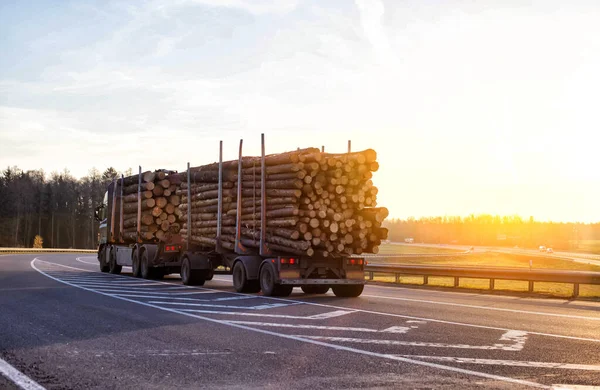 Drewniana Ciężarówka Przyczepą Transportu Długich Kłód Drewna Wzdłuż Autostrady Transport — Zdjęcie stockowe