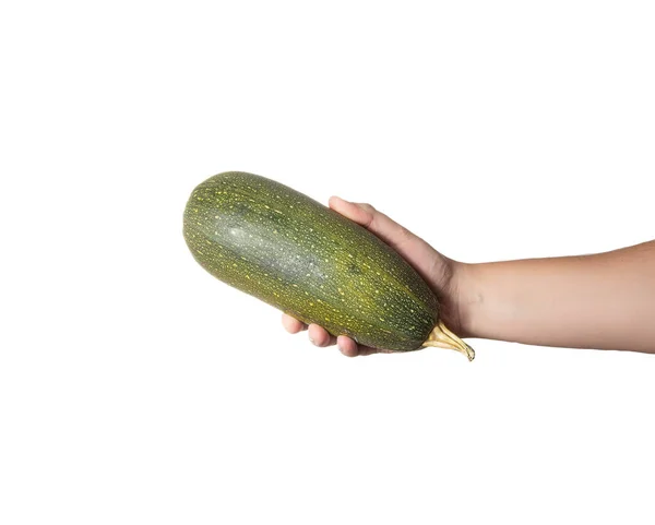 Grüne Zucchini Der Hand Eines Mannes Auf Weißem Hintergrund Isoliert — Stockfoto