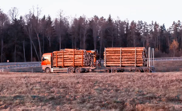 Nákladní automobil s přívěsem pro přepravu dlouhých klád podél dálnice. Přeprava dřeva, průmyslová — Stock fotografie